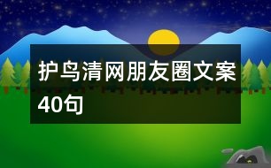 “護鳥清網(wǎng)”朋友圈文案40句