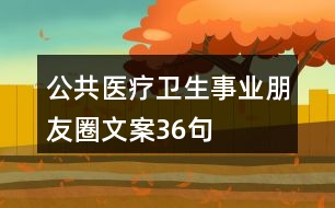 公共醫(yī)療衛(wèi)生事業(yè)朋友圈文案36句