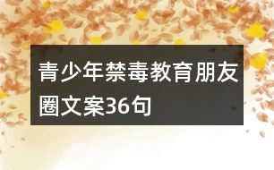 青少年禁毒教育朋友圈文案36句