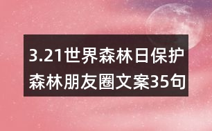 3.21世界森林日保護(hù)森林朋友圈文案35句