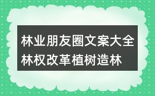 林業(yè)朋友圈文案大全：林權(quán)改革、植樹(shù)造林朋友圈文案36句