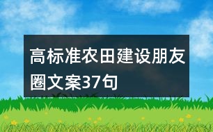 高標準農(nóng)田建設(shè)朋友圈文案37句