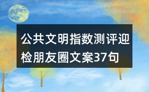 公共文明指數(shù)測(cè)評(píng)迎檢朋友圈文案37句