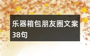 樂(lè)器箱包朋友圈文案38句