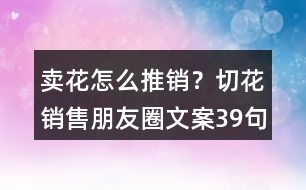 賣花怎么推銷？切花銷售朋友圈文案39句