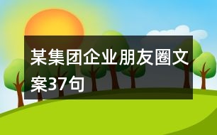 某集團(tuán)企業(yè)朋友圈文案37句