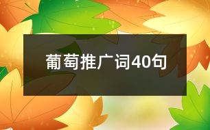 葡萄推廣詞40句