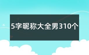 5字昵稱大全男310個