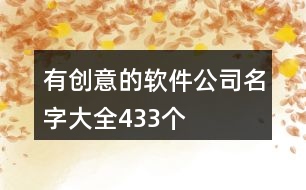 有創(chuàng)意的軟件公司名字大全433個