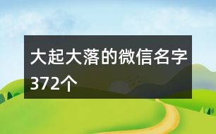 大起大落的微信名字372個