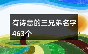 有詩意的三兄弟名字463個