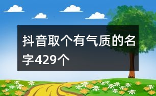 抖音取個有氣質(zhì)的名字429個