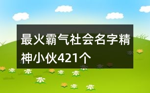 最火霸氣社會(huì)名字精神小伙421個(gè)