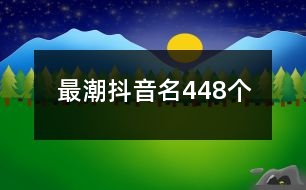 最潮抖音名448個