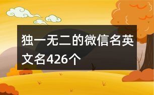 獨一無二的微信名英文名426個