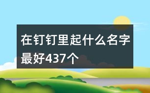 在釘釘里起什么名字最好437個