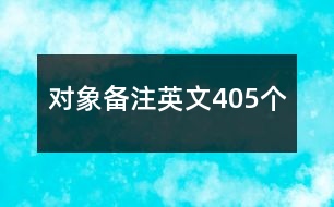 對象備注英文405個