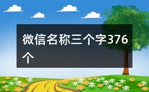 微信名稱三個字376個