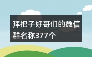 拜把子好哥們的微信群名稱377個