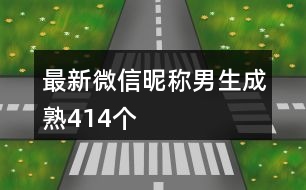 最新微信昵稱男生成熟414個