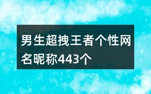 男生超拽王者個性網名昵稱443個