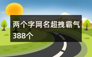 兩個(gè)字網(wǎng)名超拽霸氣388個(gè)