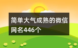 簡單大氣成熟的微信網名446個