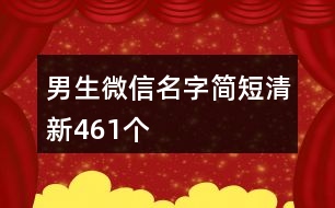 男生微信名字簡短清新461個(gè)