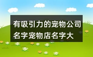 有吸引力的寵物公司名字,寵物店名字大全簡單好記381個(gè)