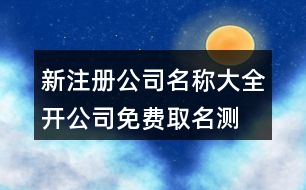 新注冊公司名稱大全,開公司免費(fèi)取名測試打分397個