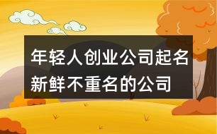 年輕人創(chuàng)業(yè)公司起名,新鮮不重名的公司名字大全463個