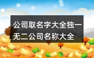 公司取名字大全獨一無二,公司名稱大全集最新431個