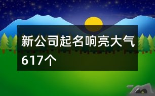 新公司起名響亮大氣617個