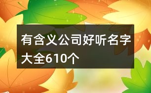 有含義公司好聽名字大全610個