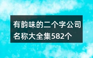 有韻味的二個字公司名稱大全集582個