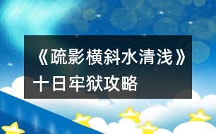 《疏影橫斜水清淺》十日牢獄攻略