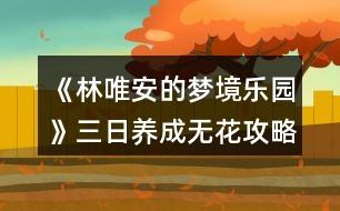 《林唯安的夢(mèng)境樂(lè)園》三日養(yǎng)成無(wú)花攻略