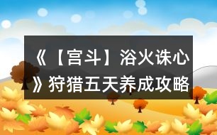 《【宮斗】浴火誅心》狩獵五天養(yǎng)成攻略