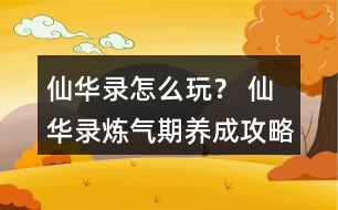 仙華錄怎么玩？ 仙華錄煉氣期養(yǎng)成攻略