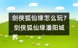 劍俠狐仙緣怎么玩？ 劍俠狐仙緣潘陽城養(yǎng)成攻略