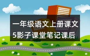 一年級(jí)語文上冊(cè)課文5影子課堂筆記課后生字組詞