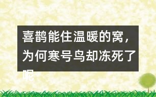 喜鵲能住溫暖的窩，為何寒號鳥卻凍死了呢？