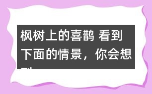 楓樹上的喜鵲 看到下面的情景，你會想到什么?試著寫下來。