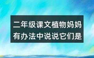 二年級課文植物媽媽有辦法中說說它們是怎么傳播種子的。