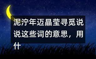 泥濘年邁晶瑩尋覓說(shuō)說(shuō)這些詞的意思，用什么方法知道的