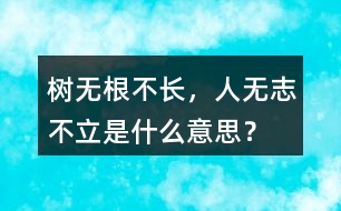 樹無(wú)根不長(zhǎng)，人無(wú)志不立是什么意思？