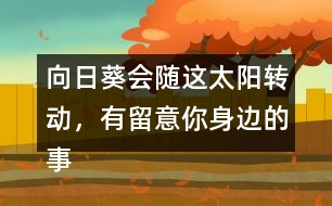 向日葵會隨這太陽轉(zhuǎn)動，有留意你身邊的事物嗎？說一說