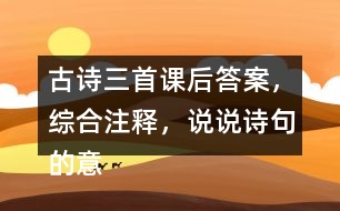 古詩三首課后答案，綜合注釋，說說詩句的意思？