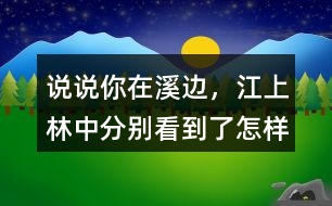 說說你在溪邊，江上、林中分別看到了怎樣的畫面。