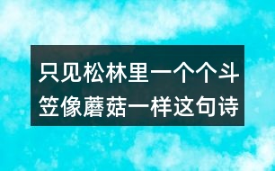 只見松林里一個(gè)個(gè)斗笠像蘑菇一樣這句詩的意思是什么？